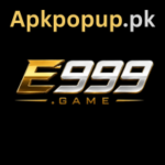 e999 game