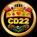 222rs game